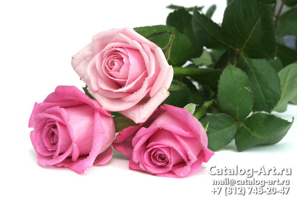 Натяжные потолки с фотопечатью - Розовые розы 12